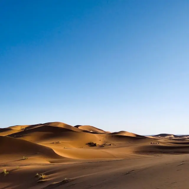 Sahara desert Morocco golden dunes at sunrise near Merzouga Erg Chebbi